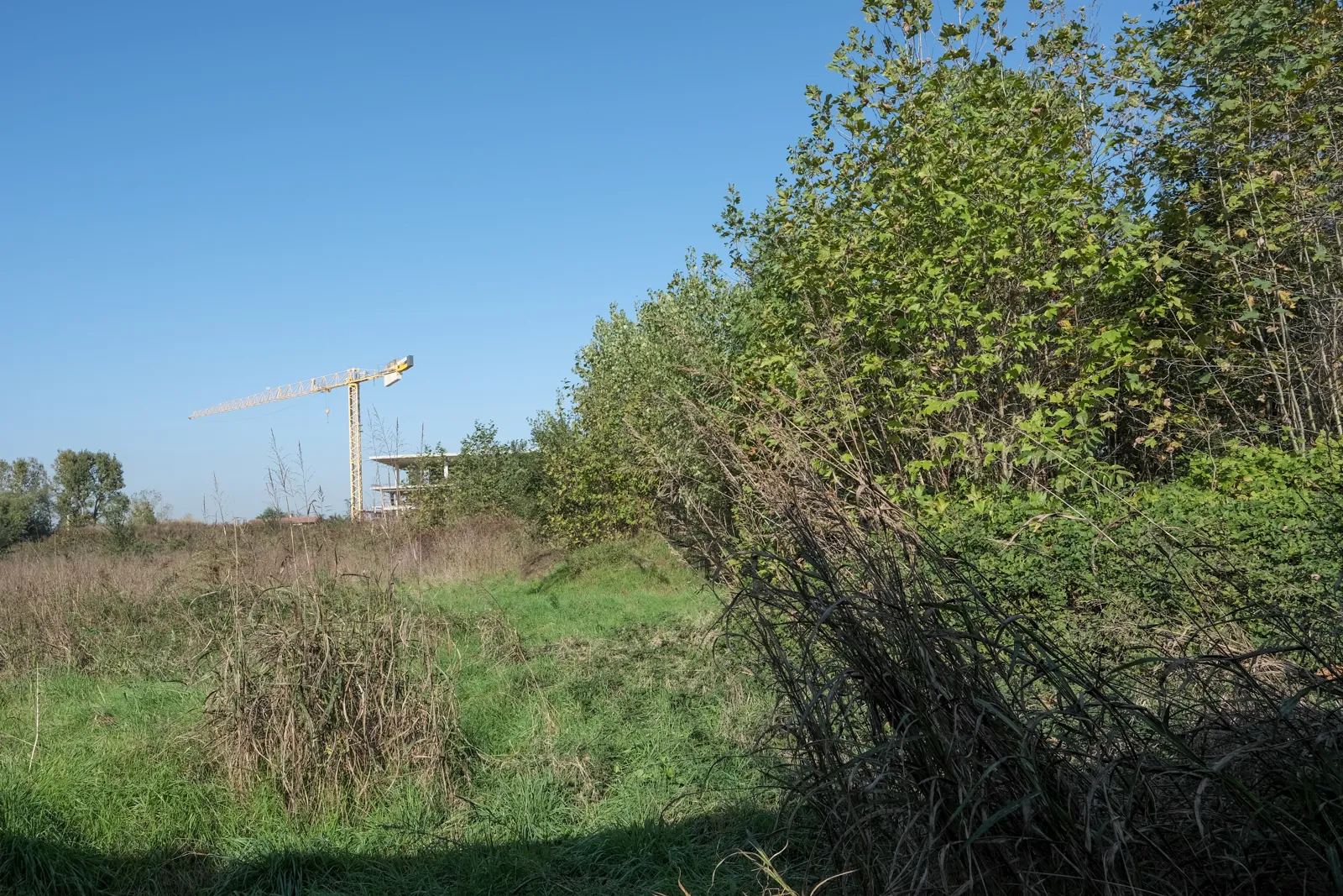 Terreno a vocazione edificabile residenziale