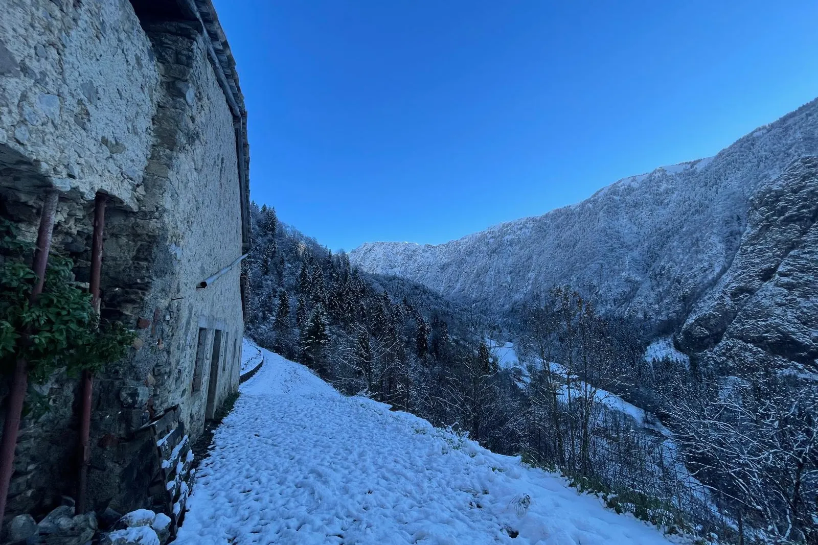 Fabbricato rurale e terreni