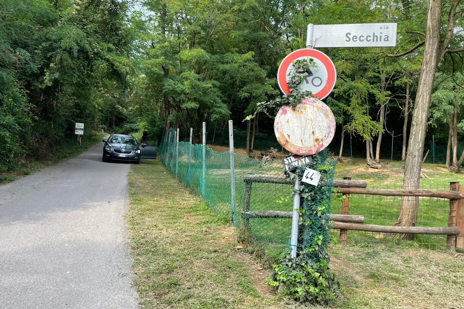 Terreni boschivi