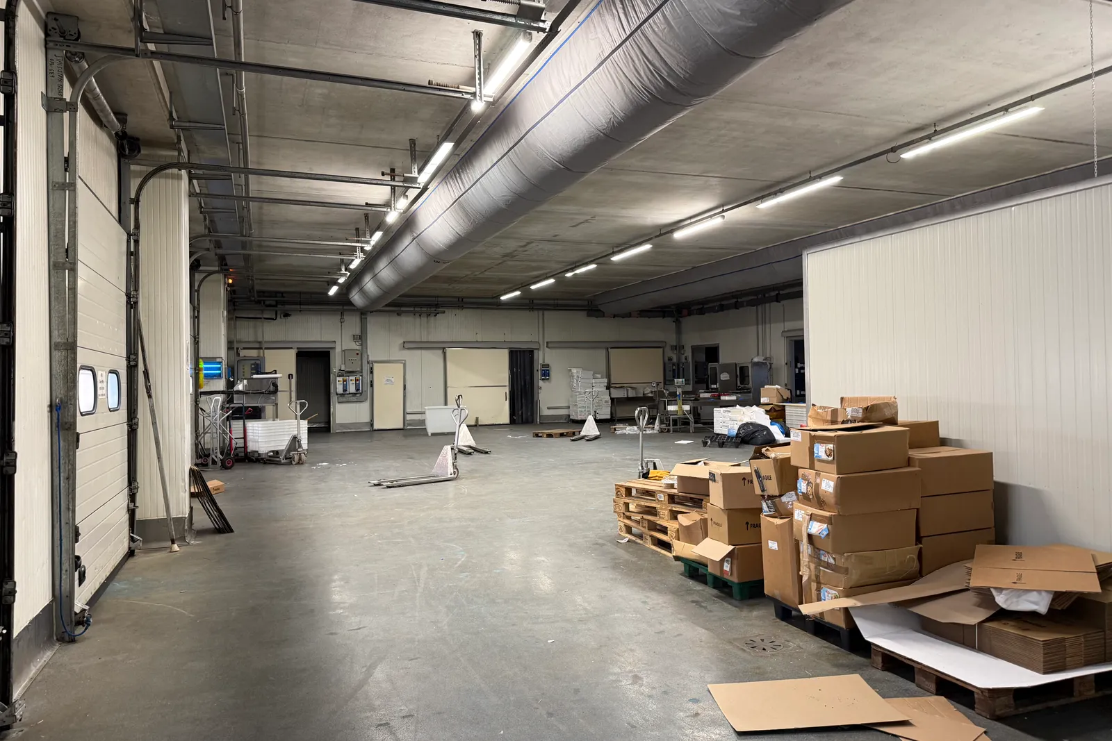 Complesso industriale con celle frigorifere e beni mobili