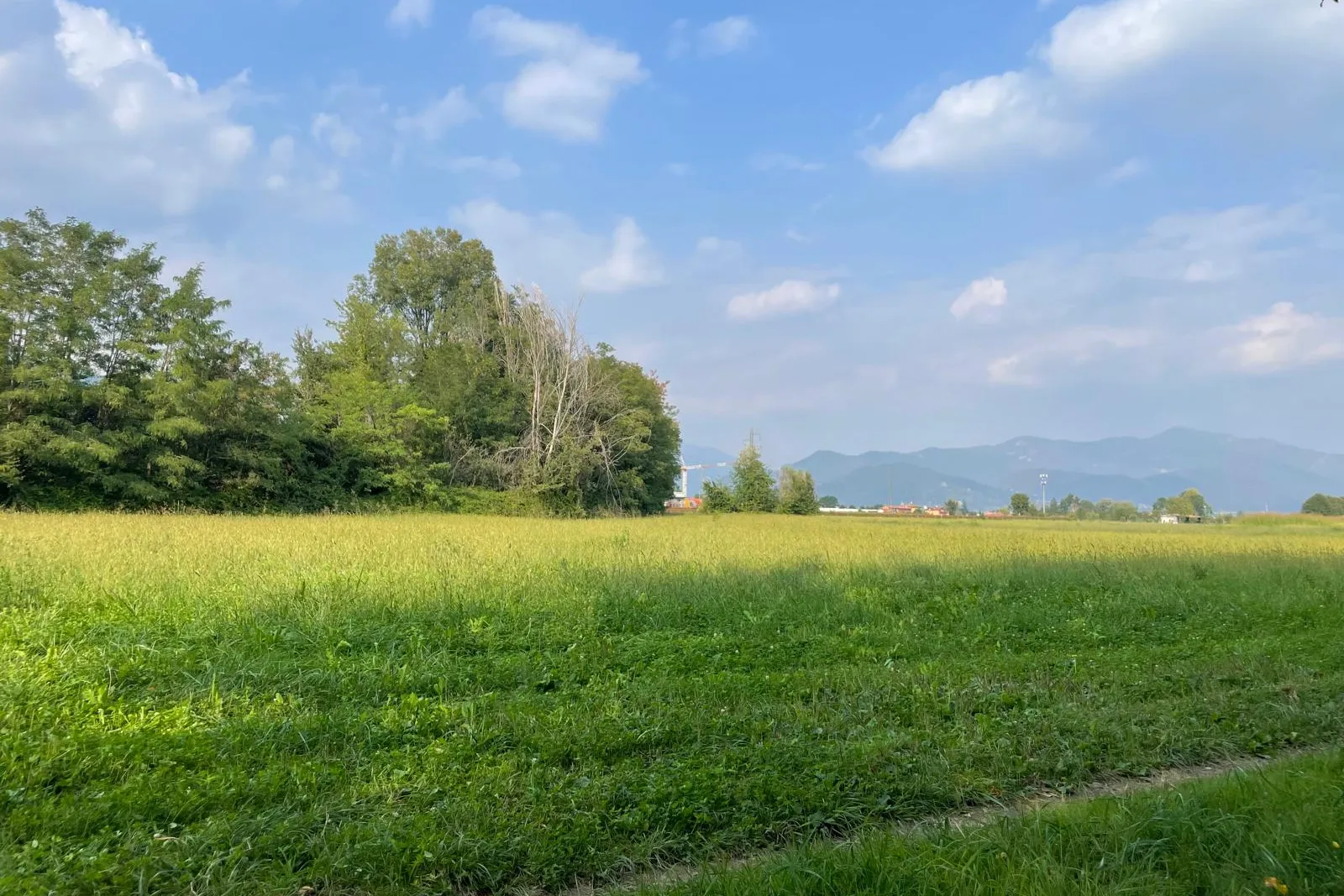 Terreni