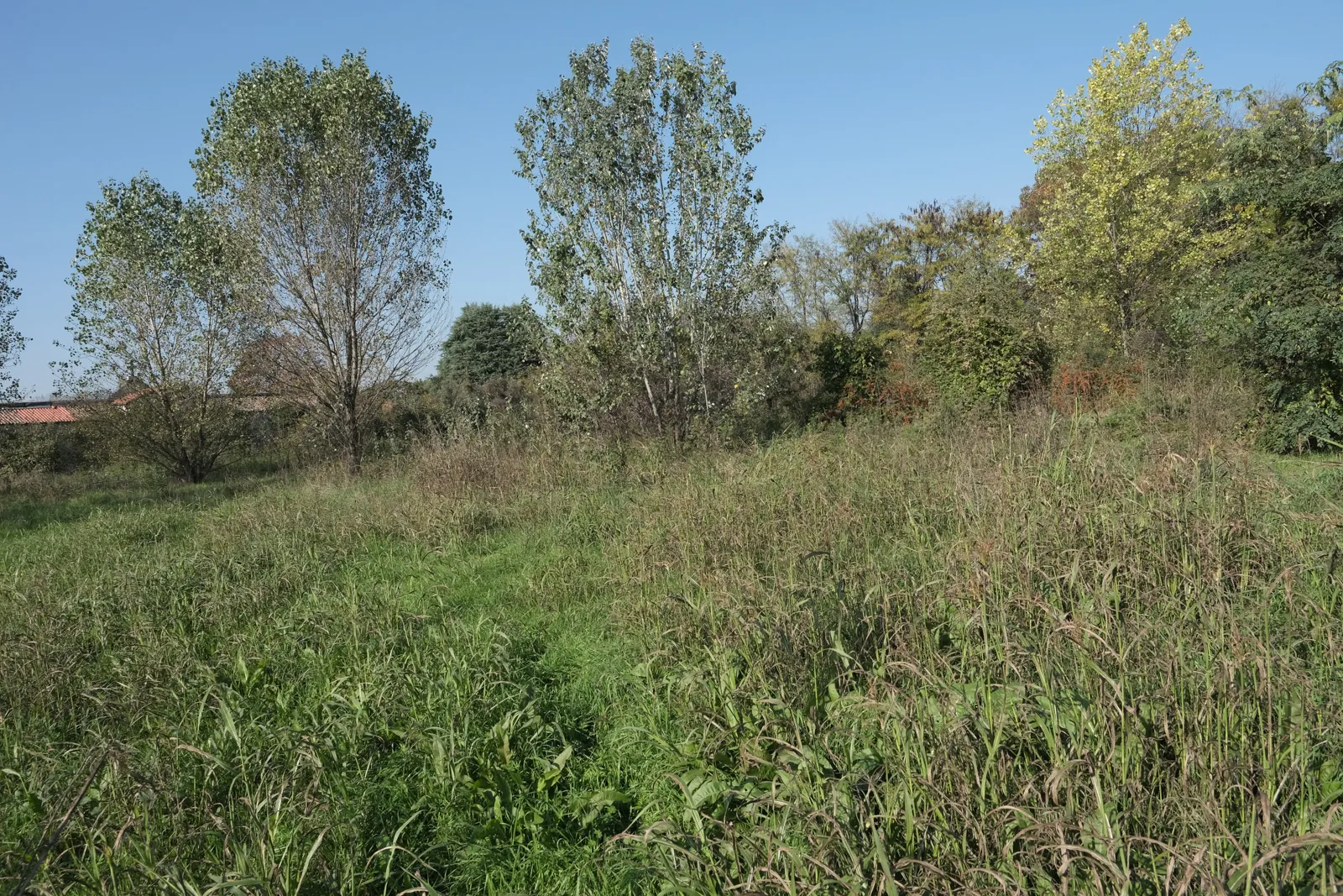 Terreno