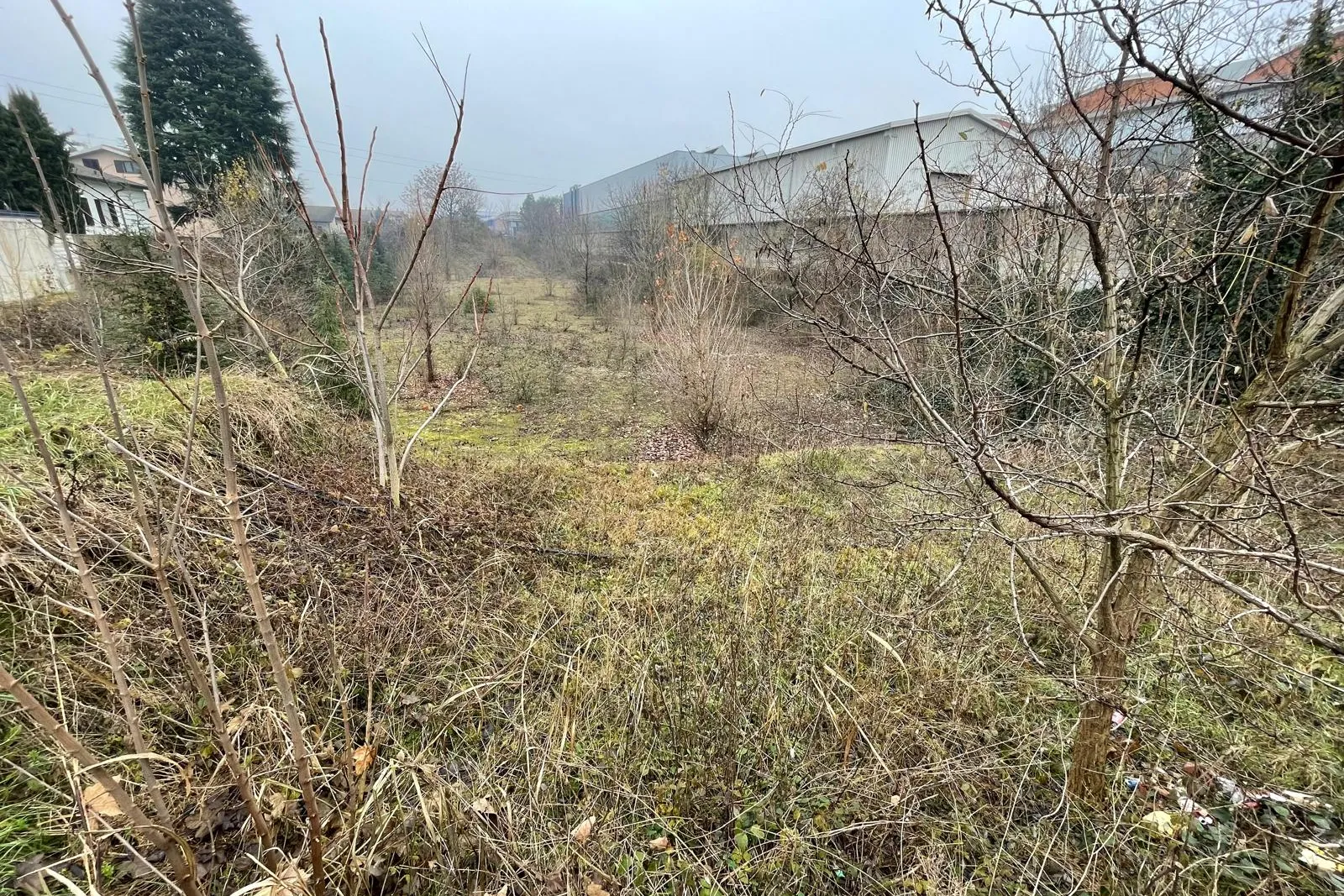 Terreno residenziale