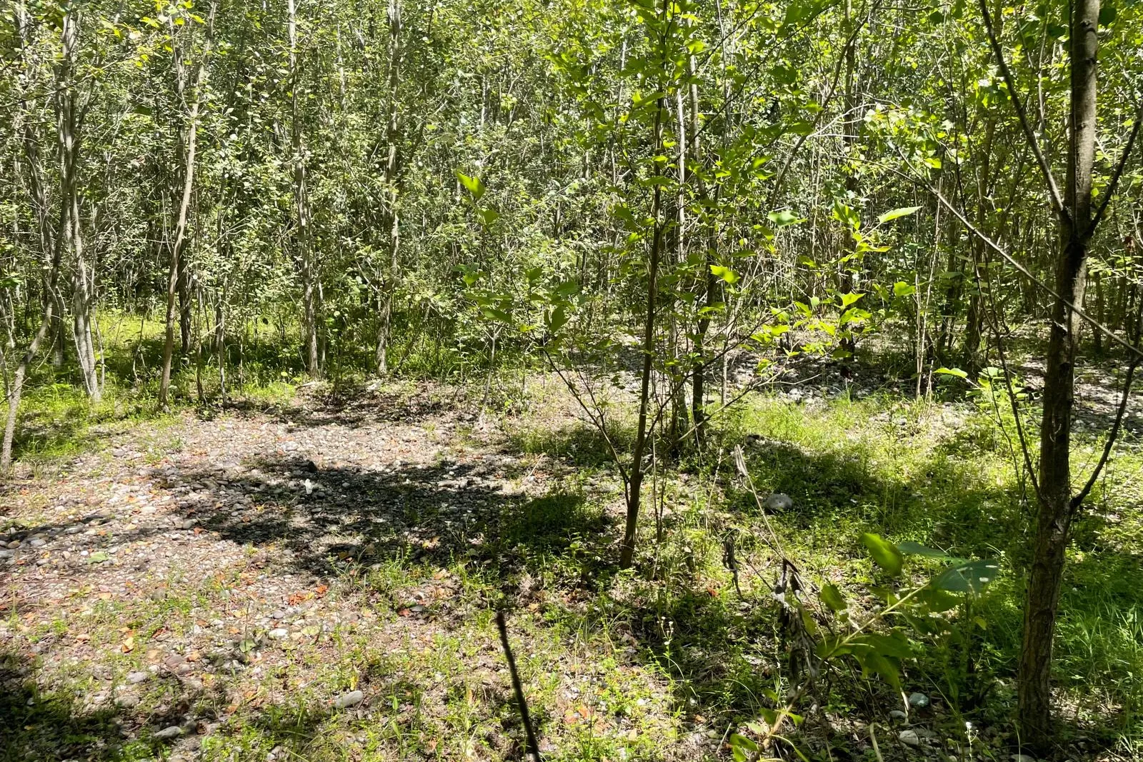 Terreno residenziale