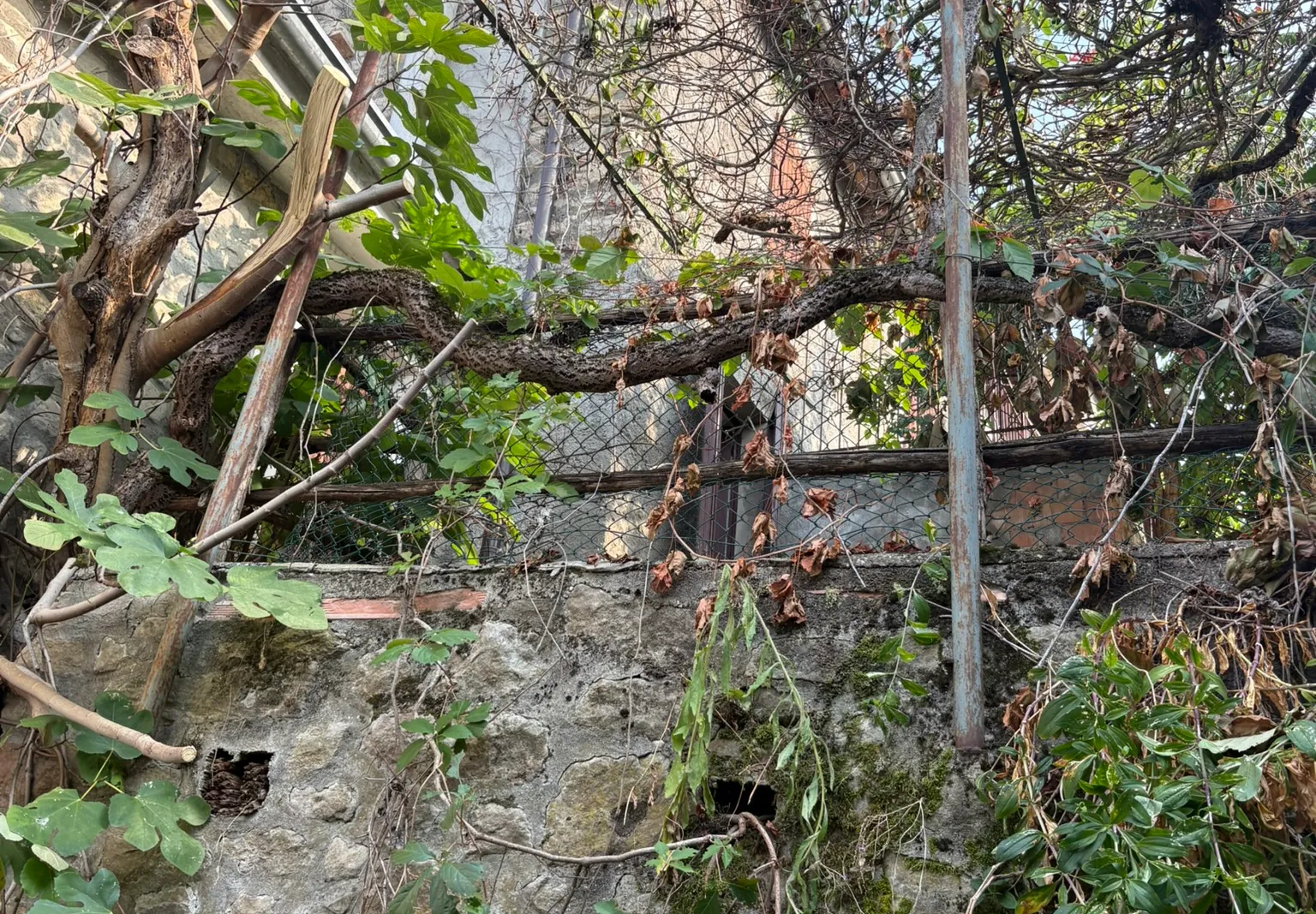 Fabbricato da ristrutturare