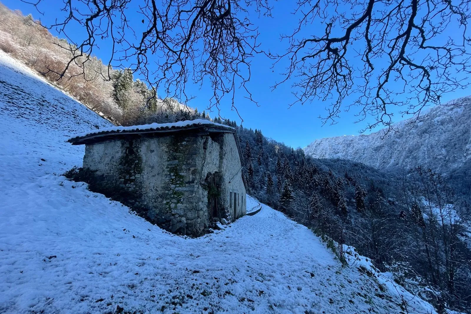 Fabbricato rurale e terreni