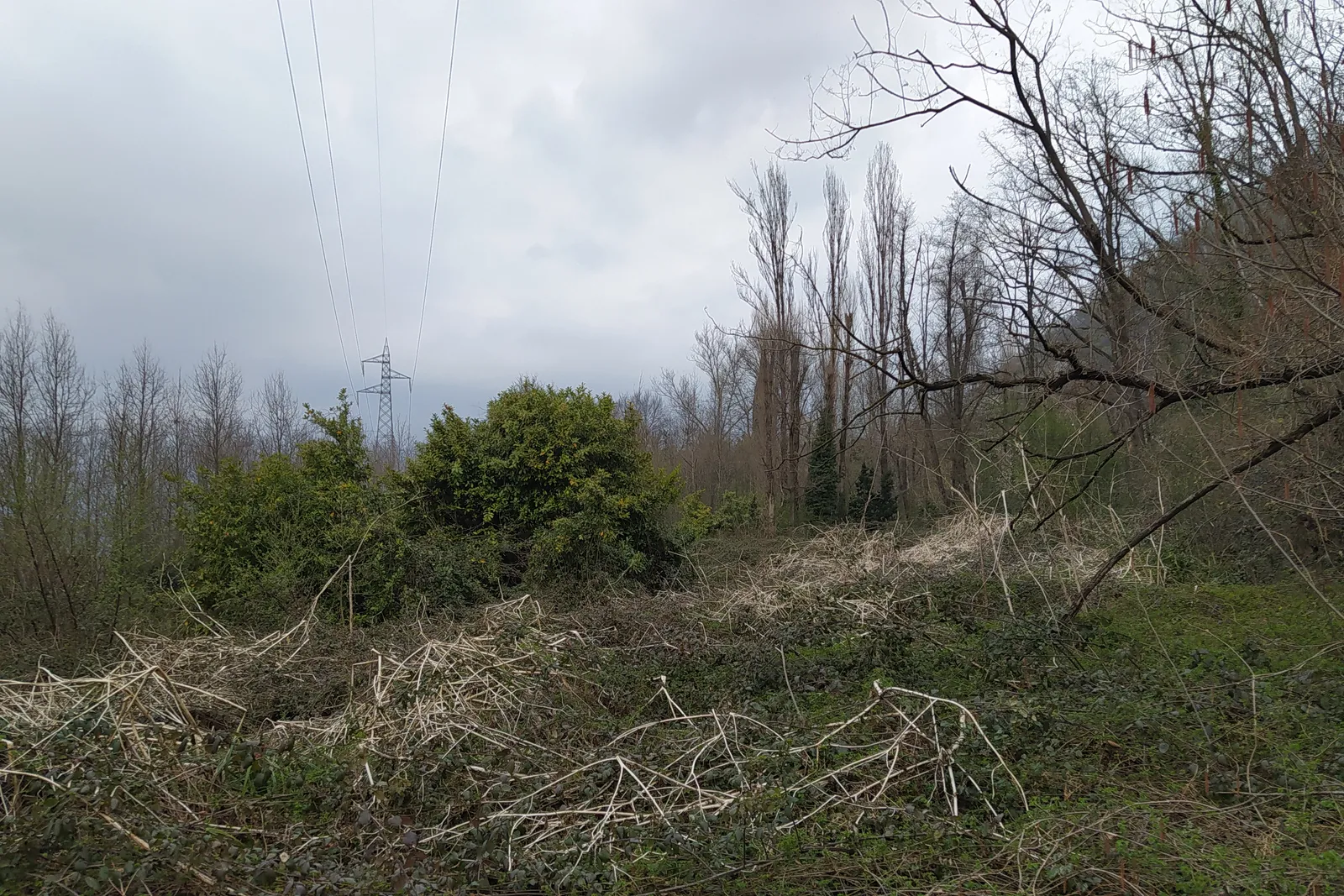 compendio immobiliare in parte residenziale e in parte ex piano di recupero del Borgo Sant’Andrea
