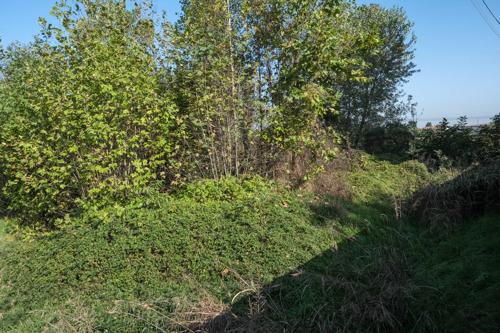 Terreno a vocazione edificabile residenziale