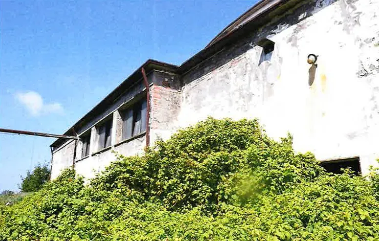 Complesso artigianale/industriale 
