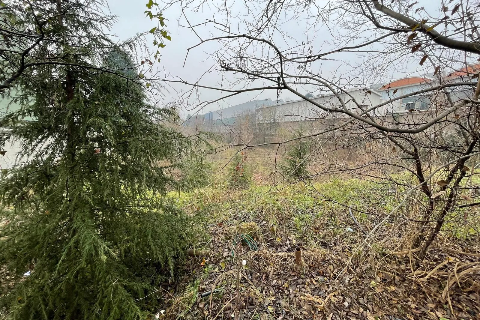 Terreno residenziale