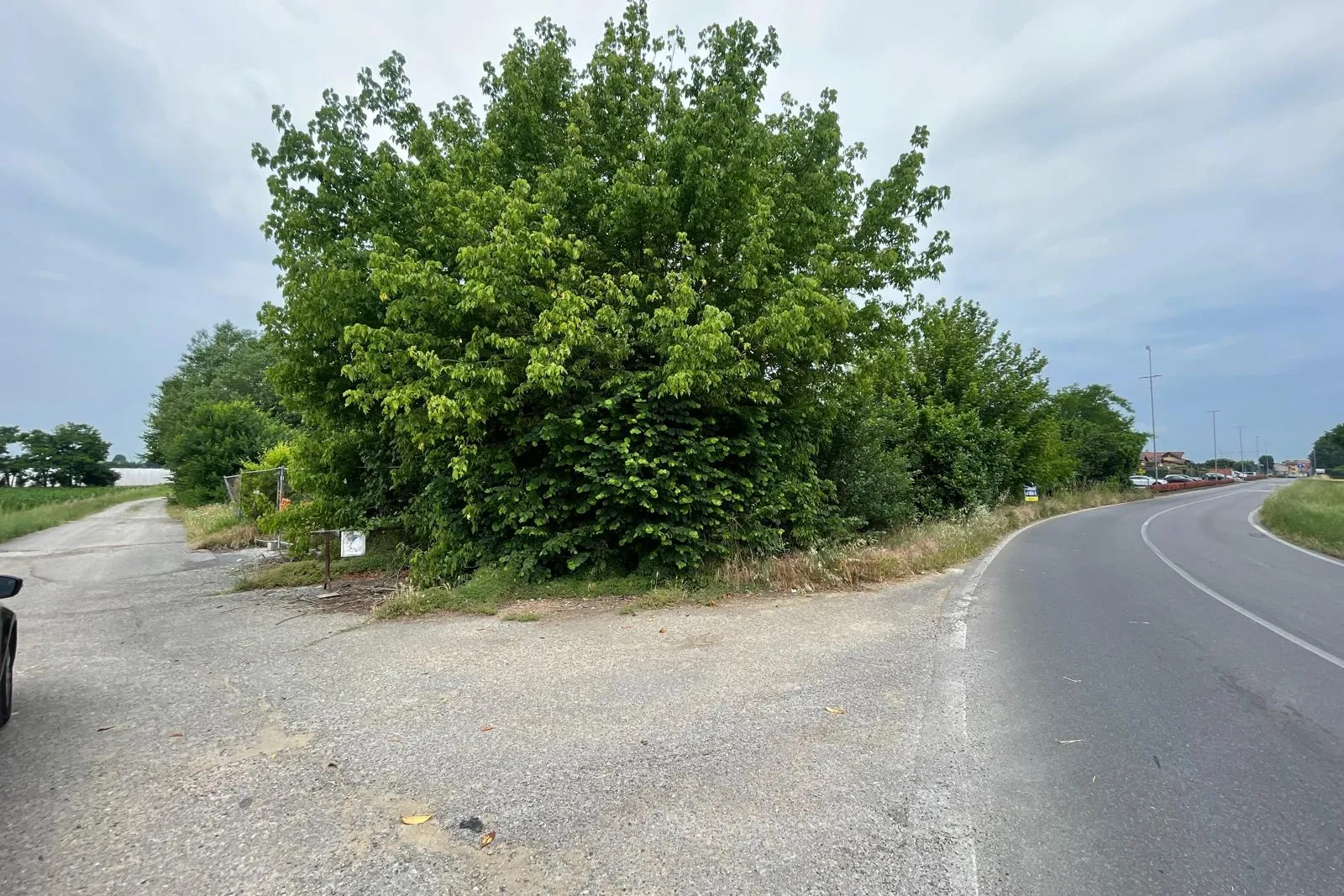 Area parzialmente edificabile e parzialmente agricola 