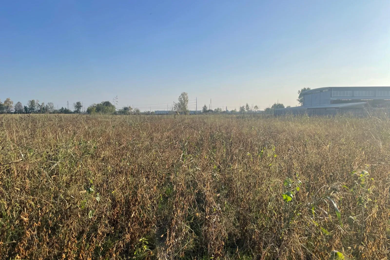 Terreno edificabile mq 13.260,00