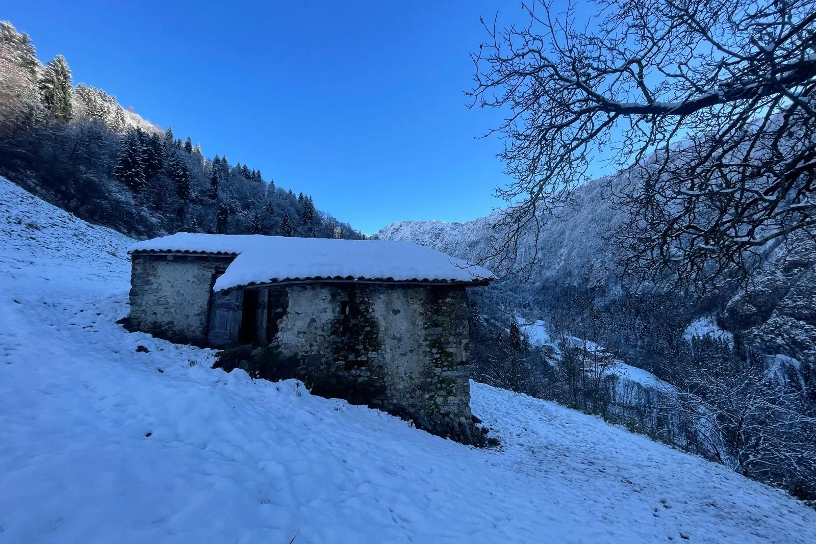Fabbricato rurale e terreni