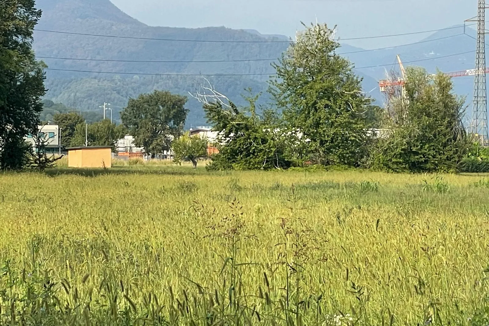 Terreni