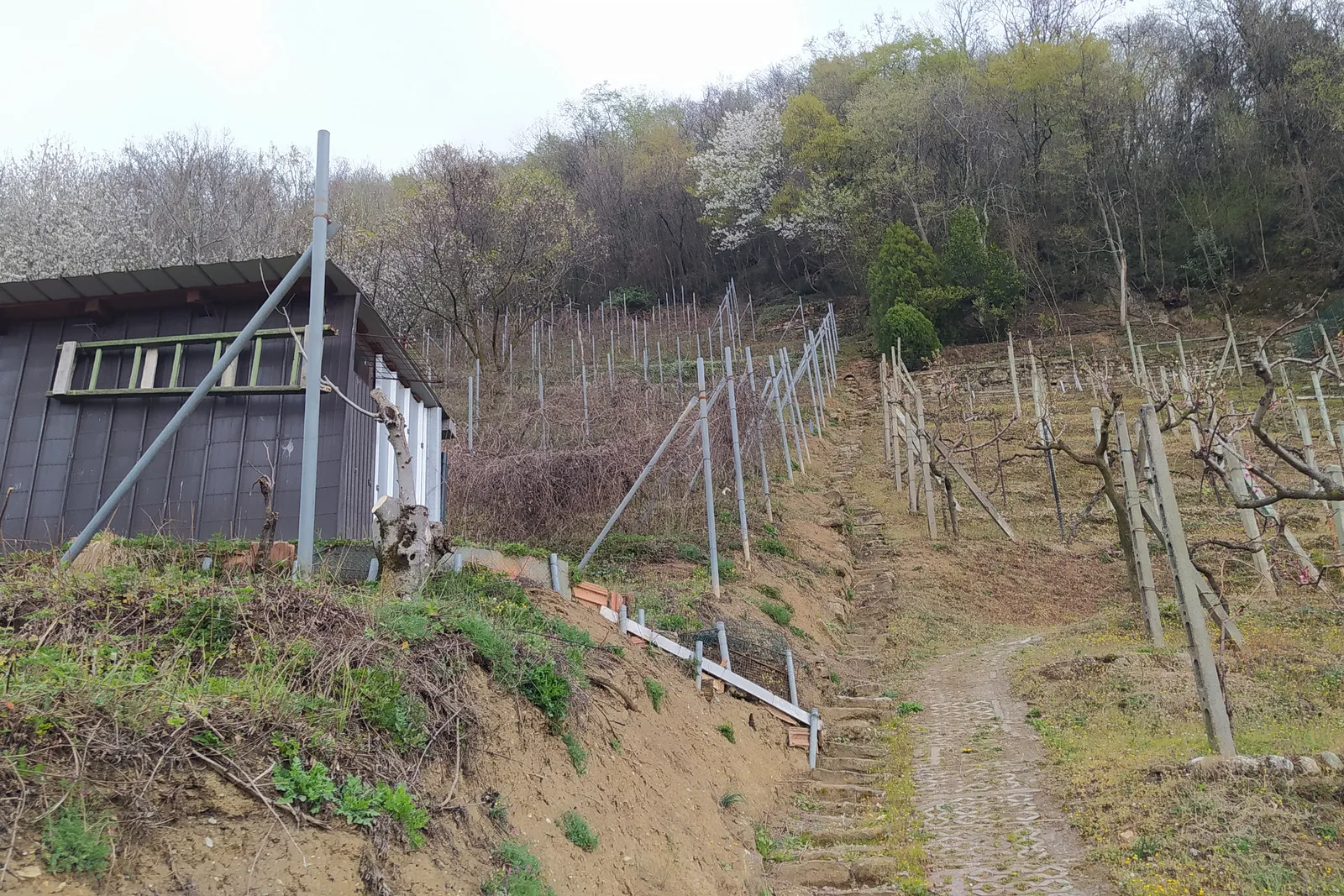 compendio immobiliare in parte residenziale e in parte ex piano di recupero del Borgo Sant’Andrea