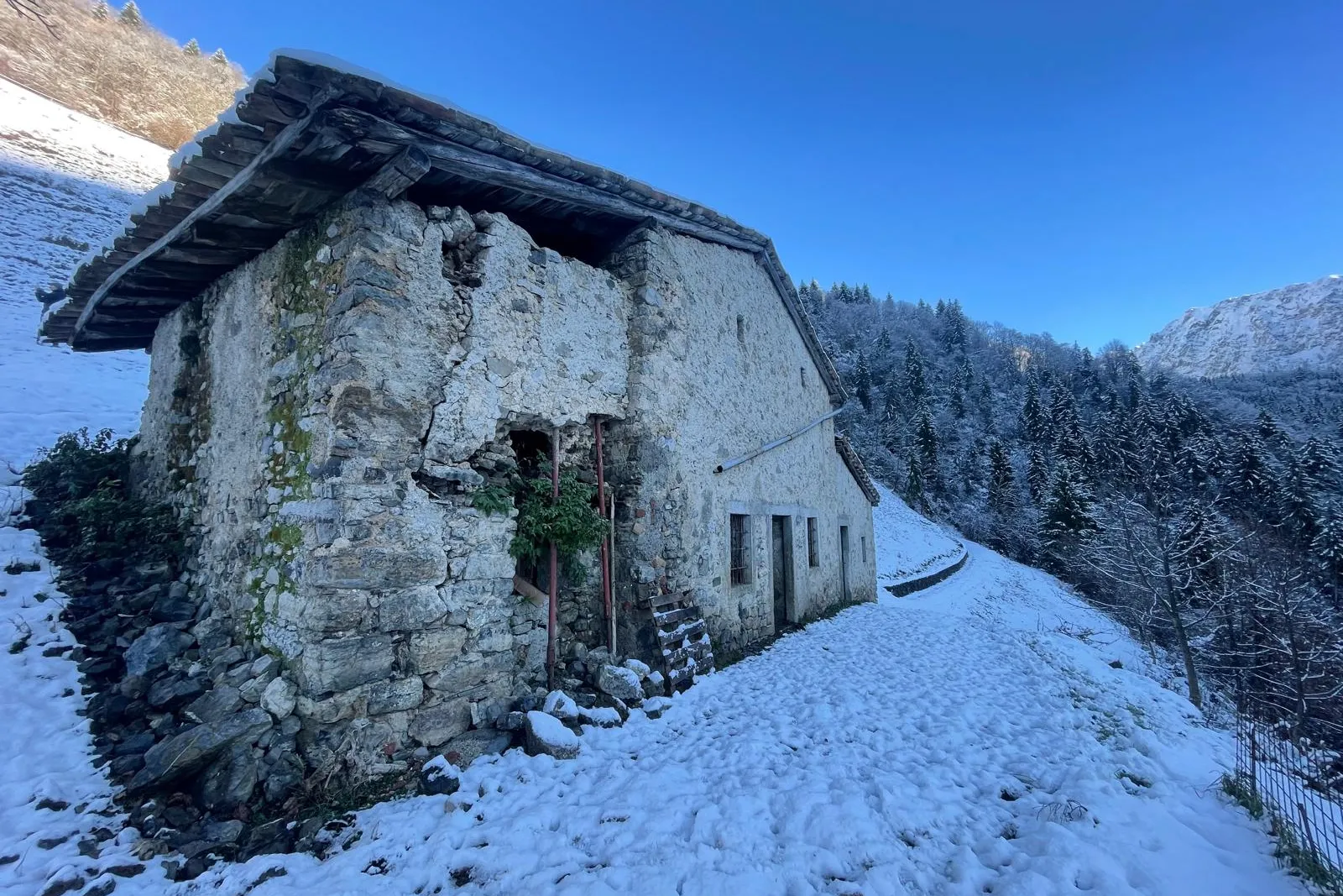 Fabbricato rurale e terreni
