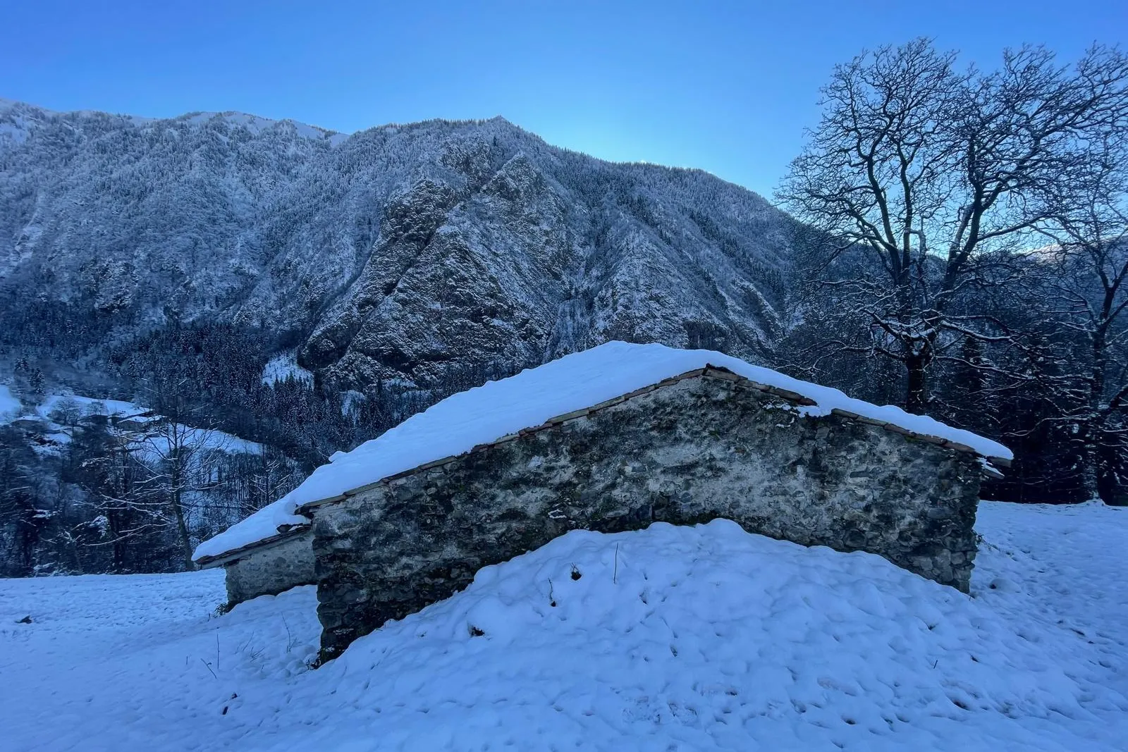 Fabbricato rurale e terreni
