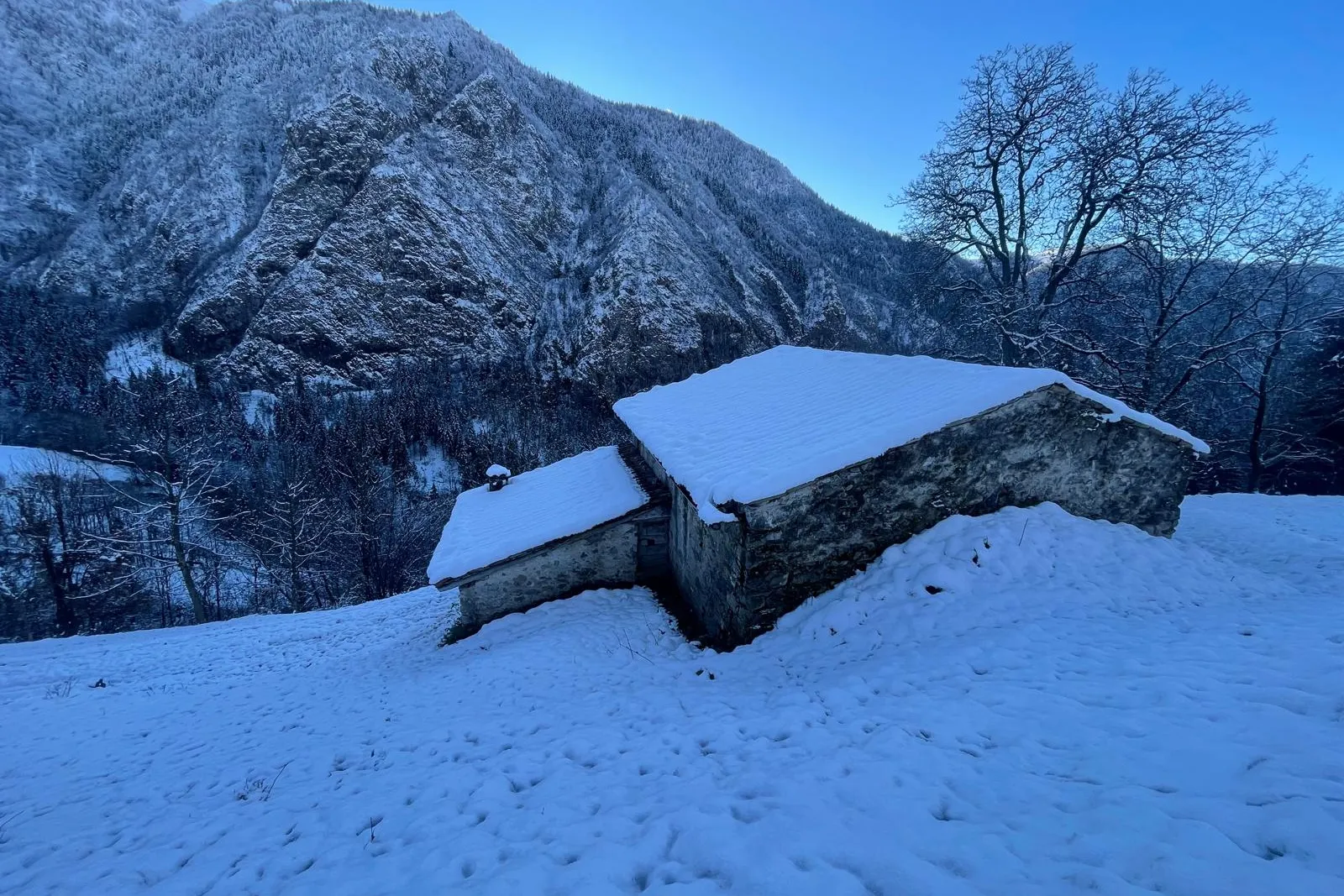 Fabbricato rurale e terreni